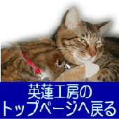 p@H[̃gbvy[Wւ̃N{^